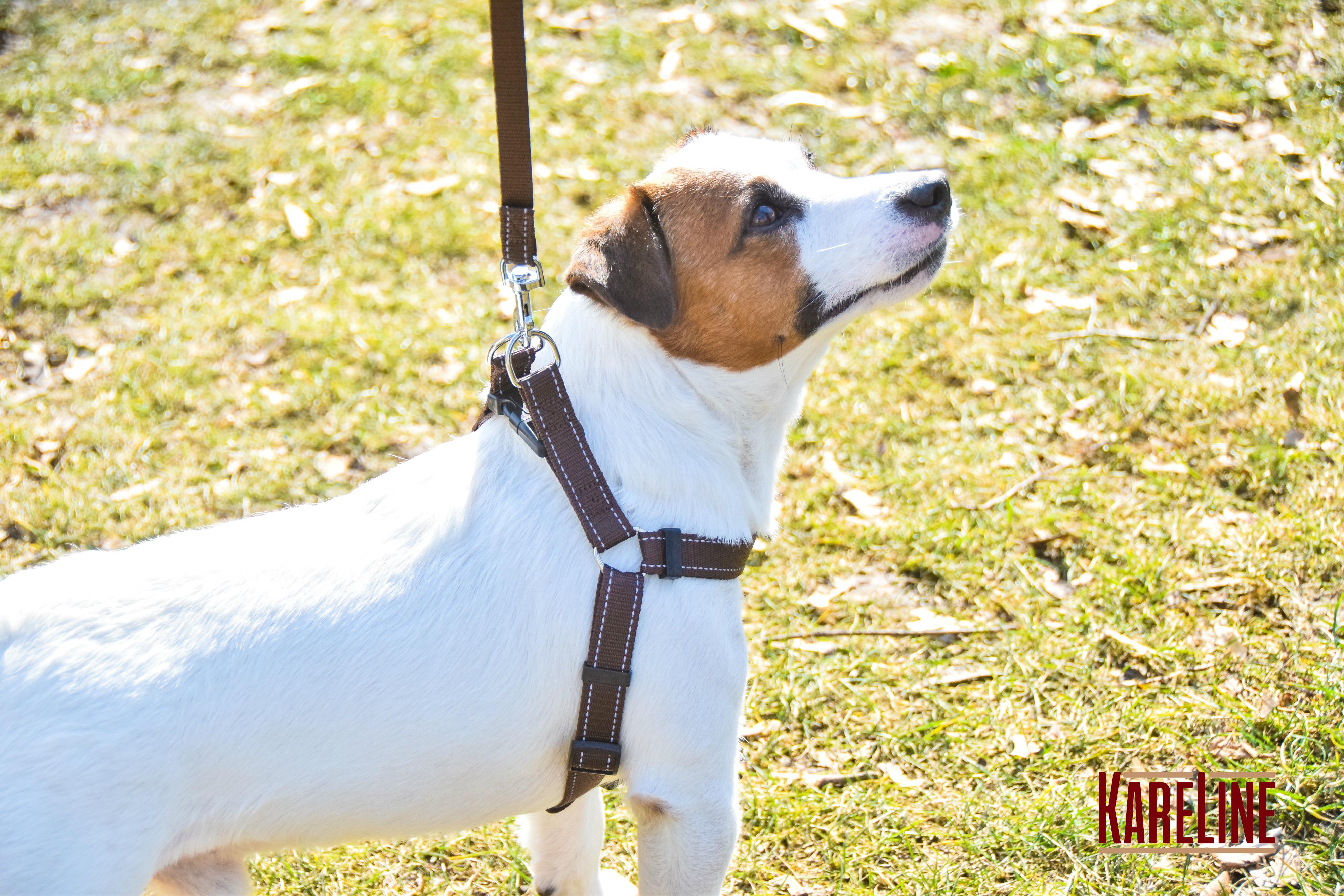 Шлея KareLine из нейлона с пластиковой пряжкой 10 мм А:240-300 мм В:260-400 мм Коричневый (0861/2) - фото 6 Шлея KareLine из нейлона с пластиковой пряжкой 10 мм А:240-300 мм В:260-400 мм Коричневый (0861/2) - фото 6