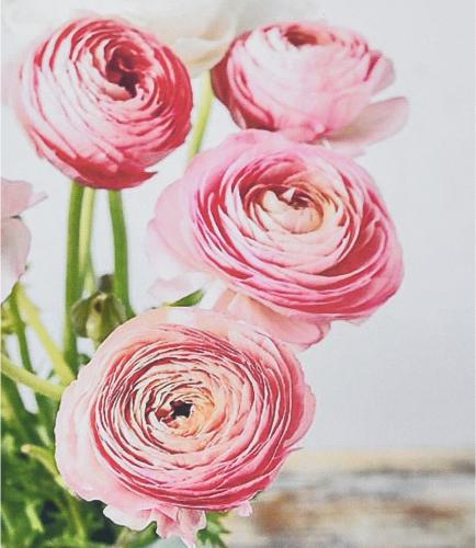 Набір для творчості алмазна картина Strateg Рожева симфонія HEG87059 30x40 см (MTT-192468) Набір для творчості алмазна картина Strateg Рожева симфонія HEG87059 30x40 см (MTT-192468)