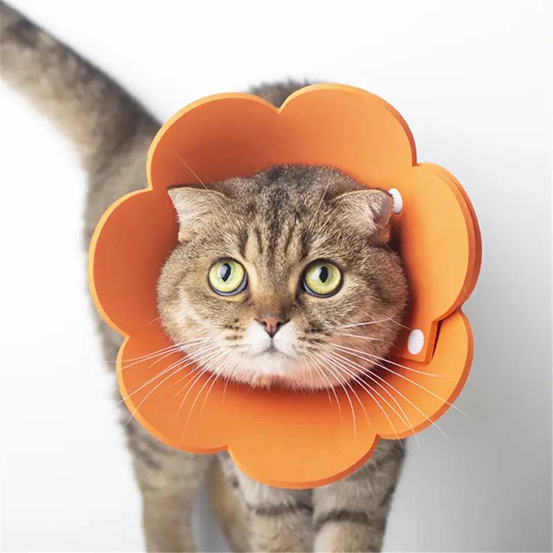 Воротник-ошейник для заживления ран собак и кошек Flower XS Orange - фото 2