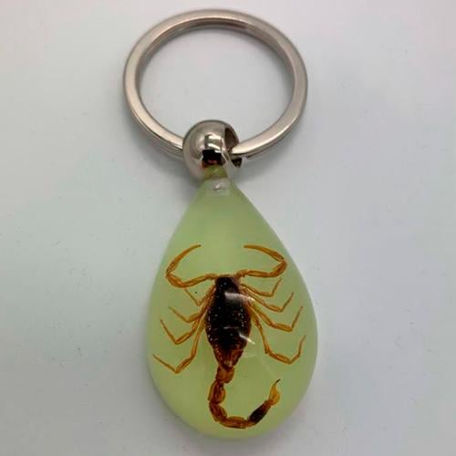 Брелок Scorpion Bracelet светиться в темноте