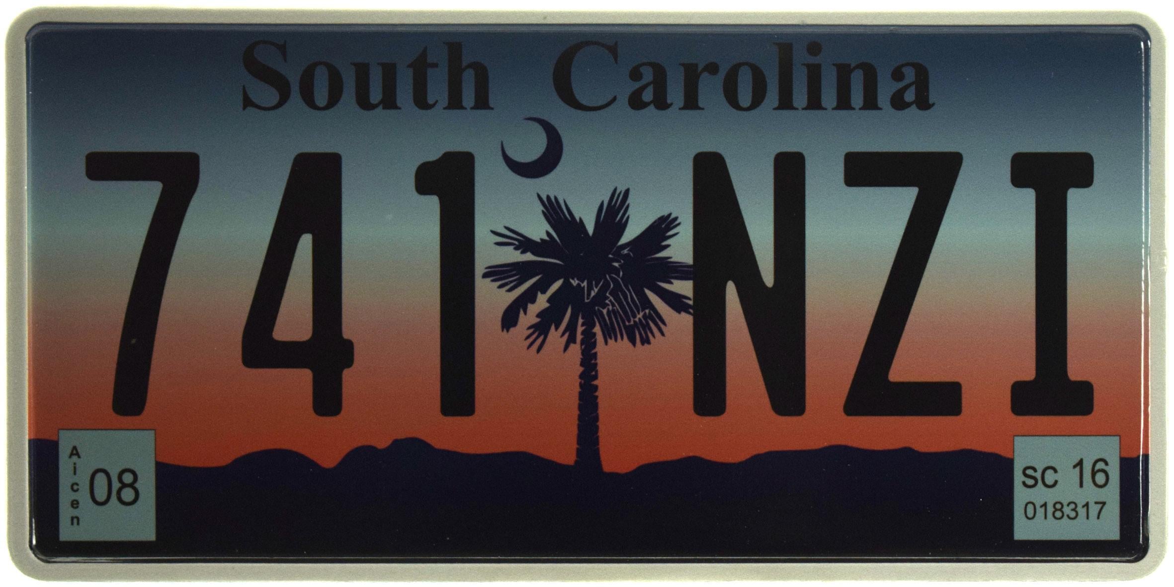 Табличка металева "South Carolina 741 NZI" 15x30 см (ms-103711)