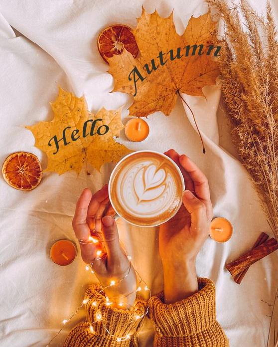 Алмазная мозаика My Art Привет осень на подрамнике квадратные алмазы 40х50 см (ТН1222)