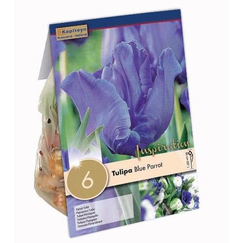 Тюльпан Florium Blue Parr (15351)