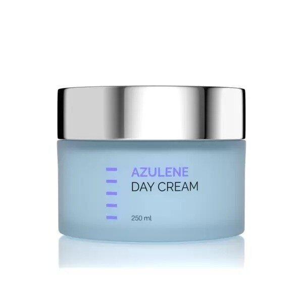 Крем увлажняющий Holy Land Azulene Day Care Cream 250 мл (2604128168)