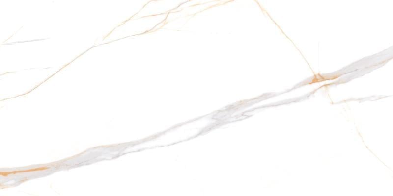 Плитка для підлоги та стін CERAMA MARKET VIGO CARRARA 60x120 см