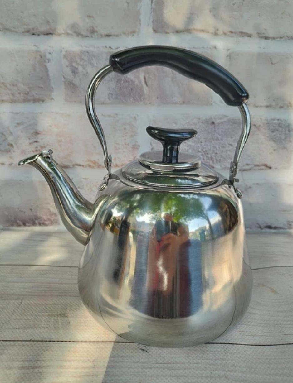 Чайник Edenberg из нержавеющей стали с фильтром-сеточком 1 л (EB-18051)