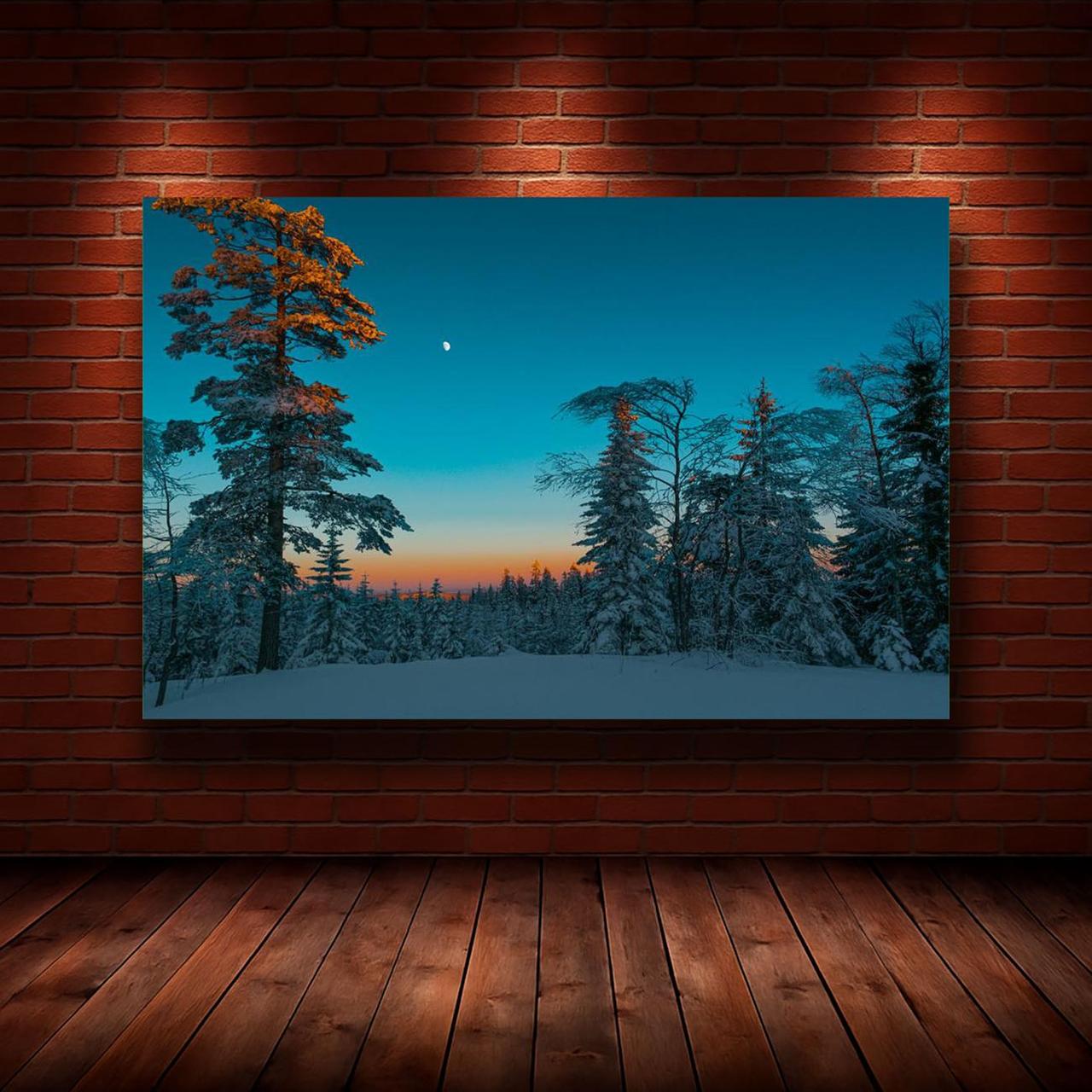 Картина на холсте Природа 30х40 см (N680)