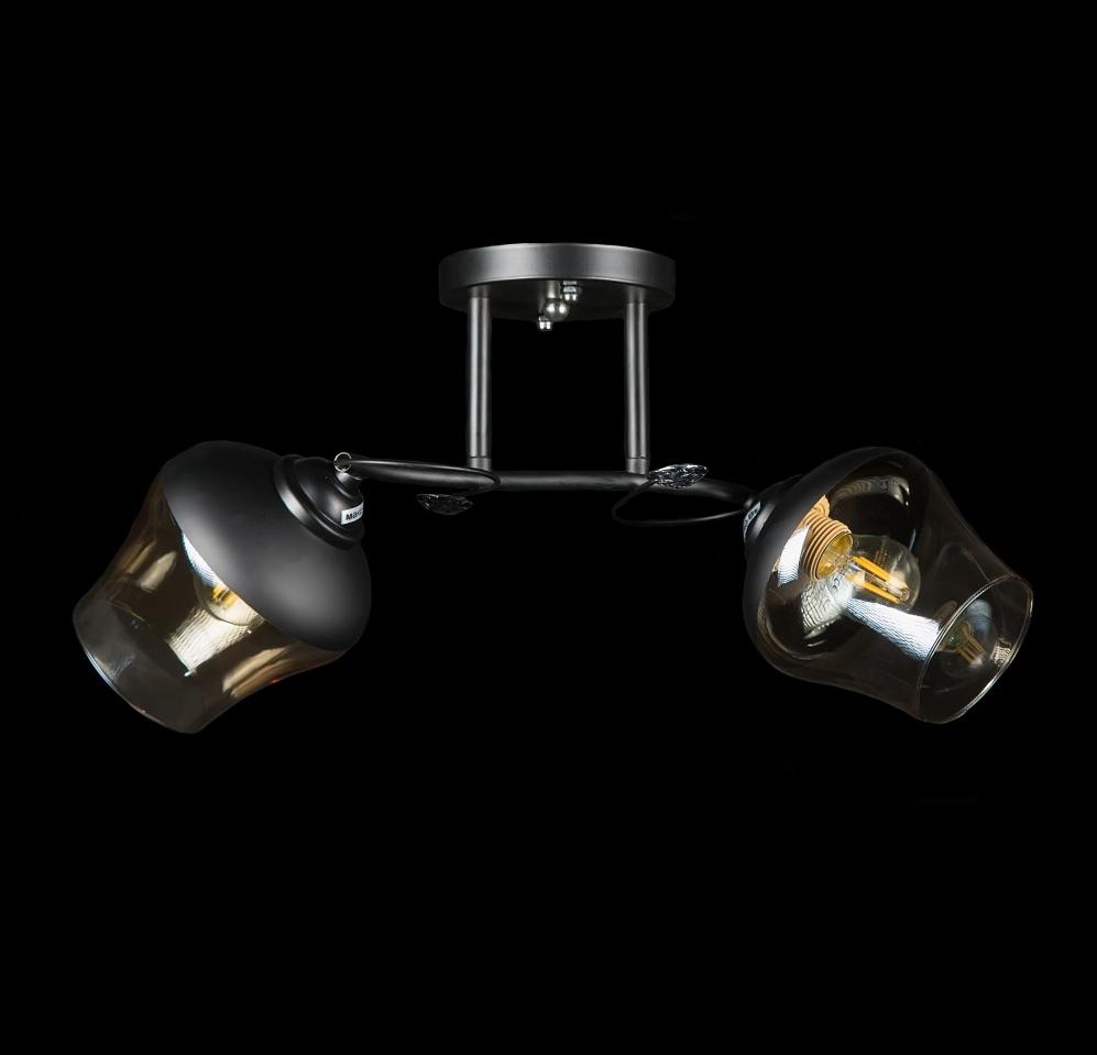 Люстра с плафонами Splendid Ray (L7398/2 BLK)