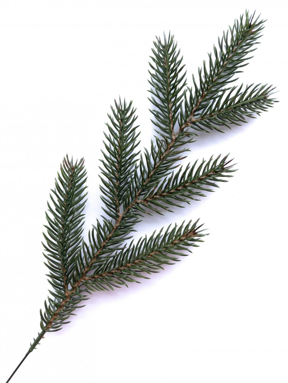 Гілка лита ПЛАСТМАКС семипала двостороння 33 см (GS6)