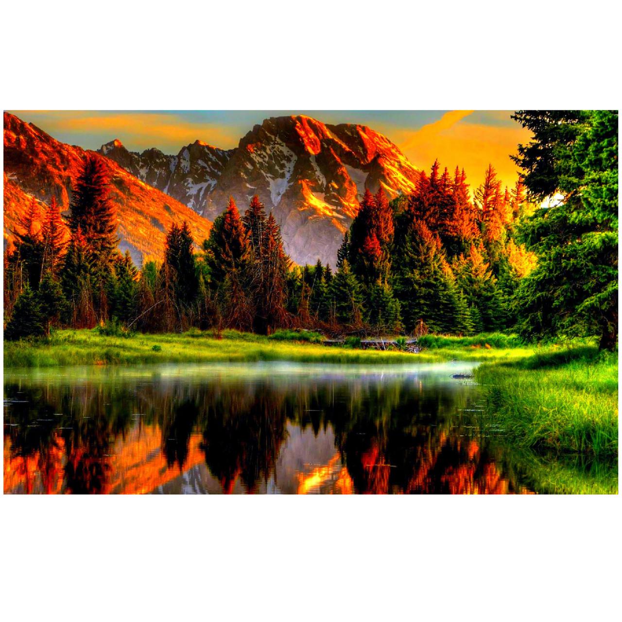 Набір алмазної мозаїки Springs DP0021 40x30 см