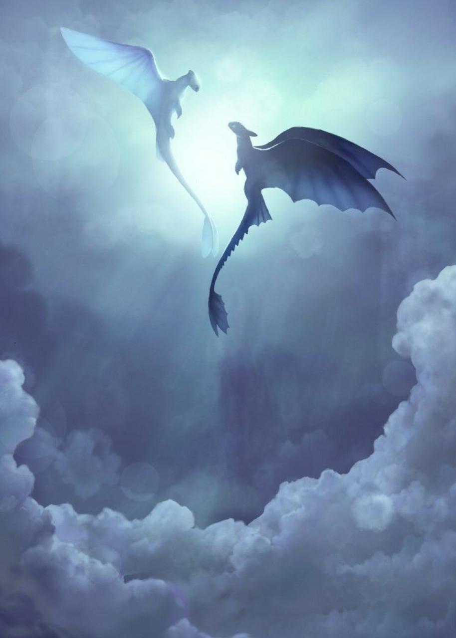 ᐉ Картина GeekLand How to train your dragon Беззубик и Светлая Фурия ...