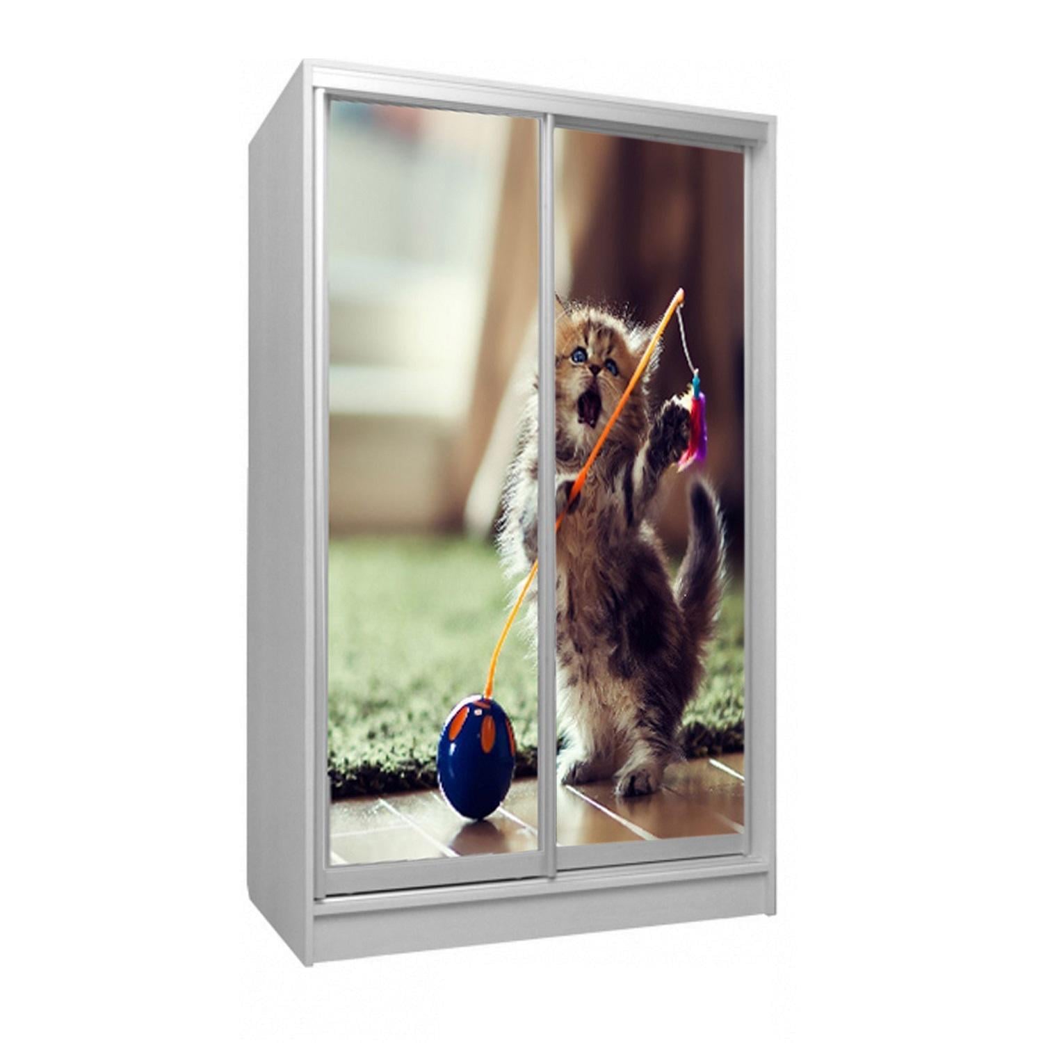 Шкаф-купе двухдверный Viorina-Deko фасад фотопечать 50 100х60х220 см