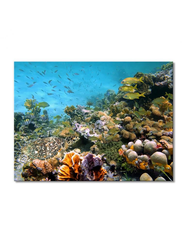 Картина модульная Подводный мир кораллы рыбки черепаха 1 модуль 60x90 см