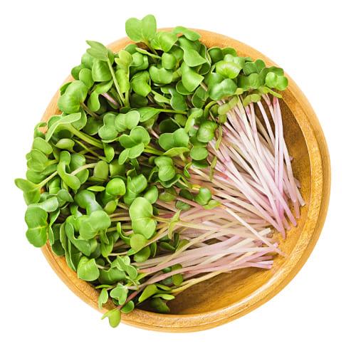 Семена Florium микрозелени редиса (14217)