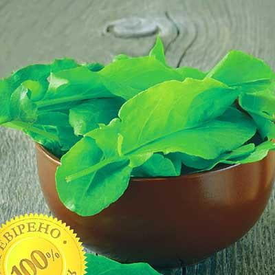 Насіння Щавель Florium Широколистий (8429)