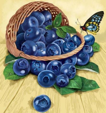 Алмазная мозаика Лукошко голубики 28x30 см (DM.012)