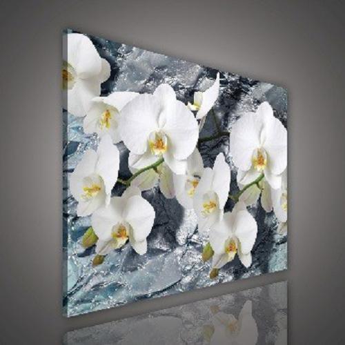 Картина на полотні 60х40 см Consalnet Квіти: Білі орхідеї (PP1505O4)