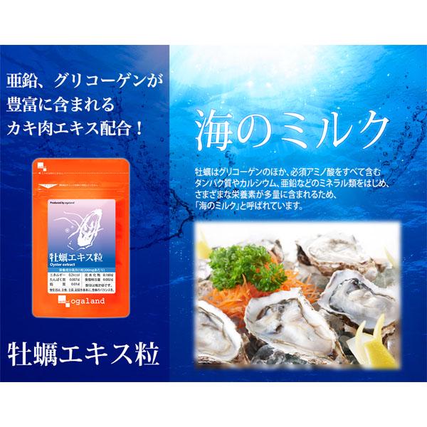 Экстракт устриц Ogaland Oyster Extract Grain 30 дн. 90 шт. - фото 2