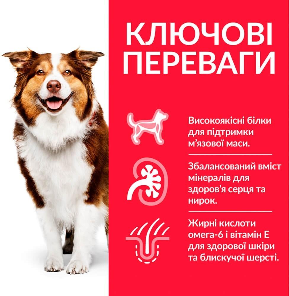 Сухой корм для зрелых собак средних пород Hill's SP Mature  Medium 7+ с курицей 14 кг (052742026176) - фото 2