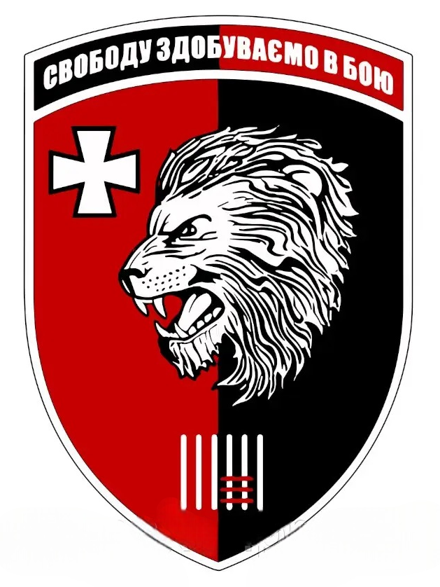 Алмазна мозаїка Шеврон Свободу досягає в бою повна викладка квадратні камені без підрамника 30х40 см (AS35274) - фото 4