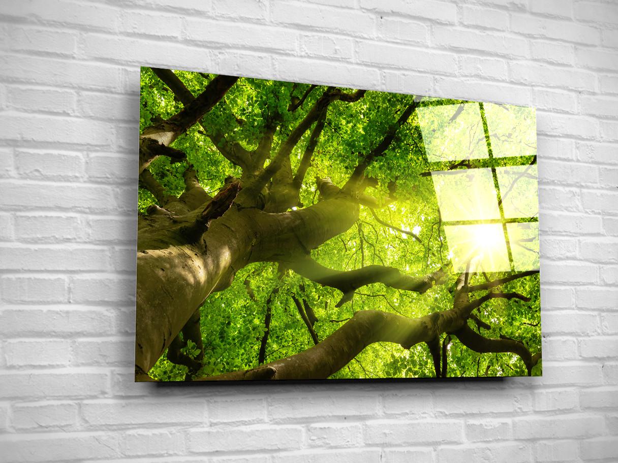 Картина на склі NovellaPrint Зелена завіса 120х80 см (GL150.4)