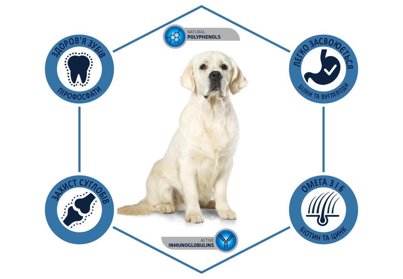 Корм сухий для дорослих собак Advance Maxi з куркою та рисом 18 кг - фото 5 Корм сухий для дорослих собак Advance Maxi з куркою та рисом 18 кг - фото 5