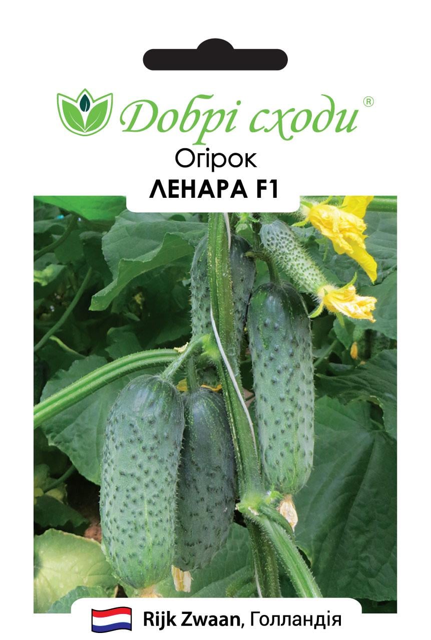 Семена огурец Ленара F1 Добрі Сходи 10 шт. (01010071)