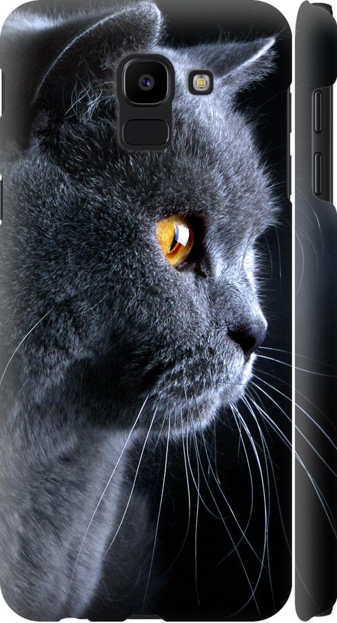 Чехол на Samsung Galaxy J6 2018 Красивый кот (3038m-1486-42517)