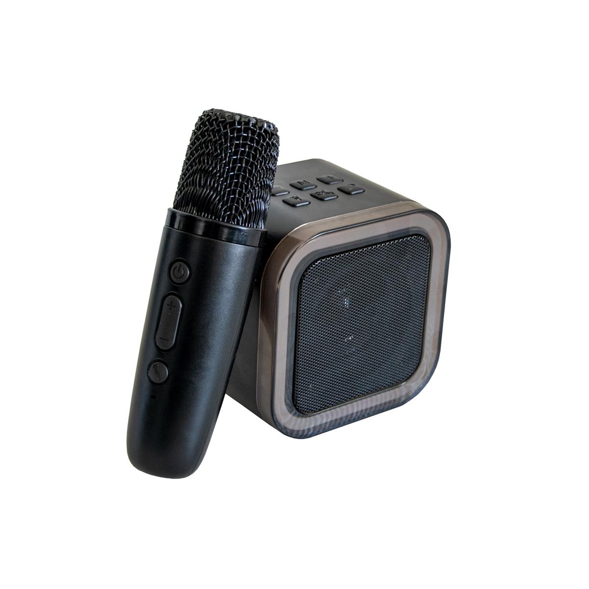 Портативна колонка Colorful Karaoke K12 із мікрофоном Black (1010612-Black)