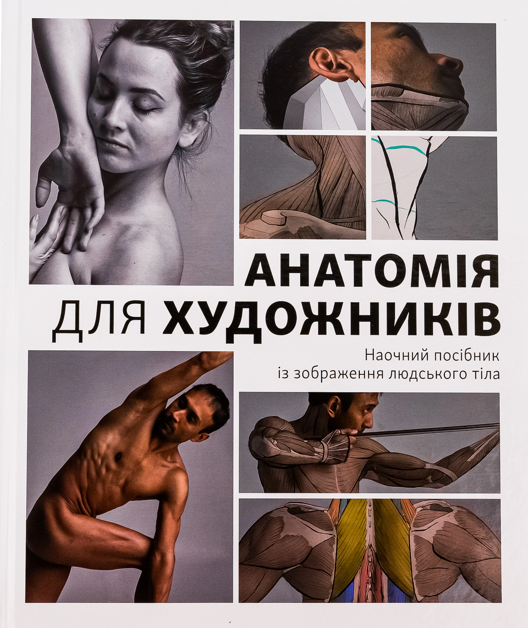 Книга Джахірул Амін "Анатомія для художників. Наочний посібник із зображення людського тіла" 9786178025212 Книга Джахірул Амін "Анатомія для художників. Наочний посібник із зображення людського тіла" 9786178025212