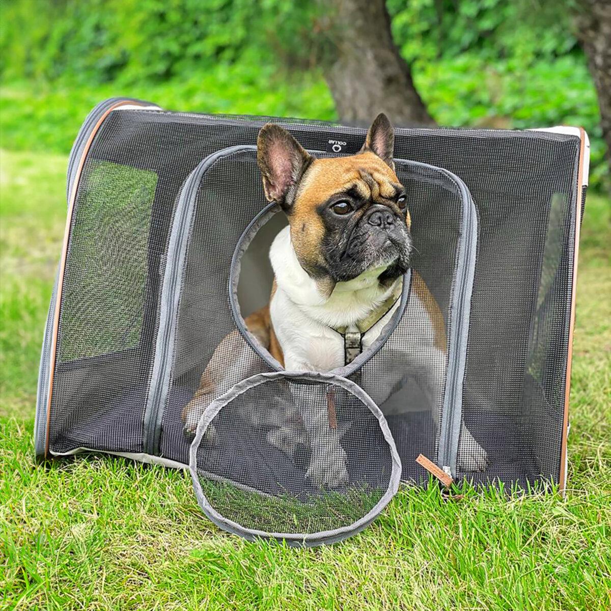 Автокрісло для тварин Collar 60х40х45 см (26456566) - фото 2 Автокрісло для тварин Collar 60х40х45 см (26456566) - фото 2