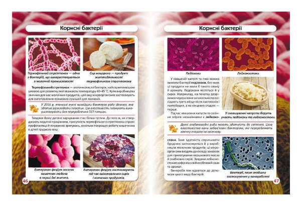 Энциклопедия детская Мир вокруг нас "Бактерії" Кристалл Бук (SV10) - фото 2