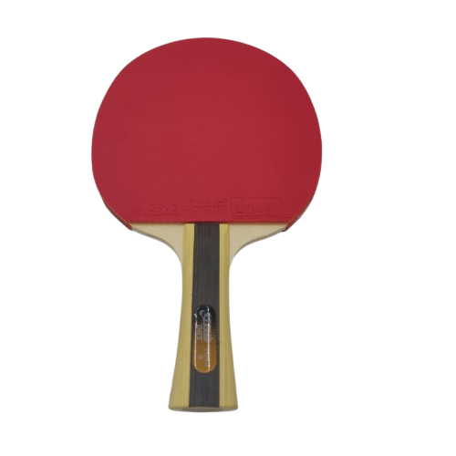 Ракетка для настольного тенниса DHS Т1002 с чехлом (160455)