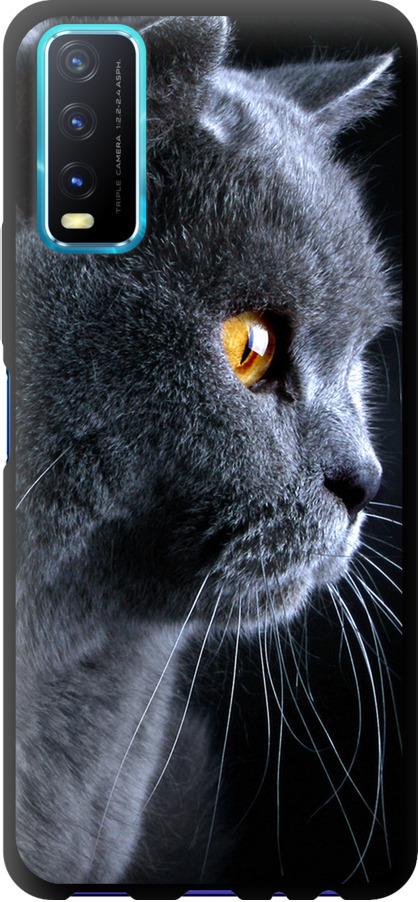 Чехол на Vivo Y20 Красивый кот (3038b-2078-42517)
