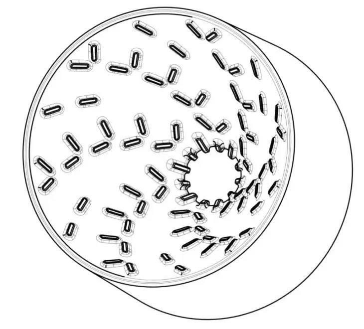 Набор для приготовления кофе Hario V60 02 BVD-3012-GR Green Forest (300330) - фото 10 Набор для приготовления кофе Hario V60 02 BVD-3012-GR Green Forest (300330) - фото 10