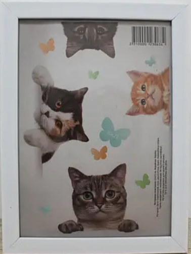 Фоторамка пластикова багет 1611 оргскло А5 15х21 см Білий (34187541)