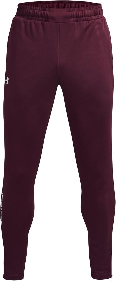 Спортивные штаны Under Armour TERRY PANTS S Бордовый (1366265-600)