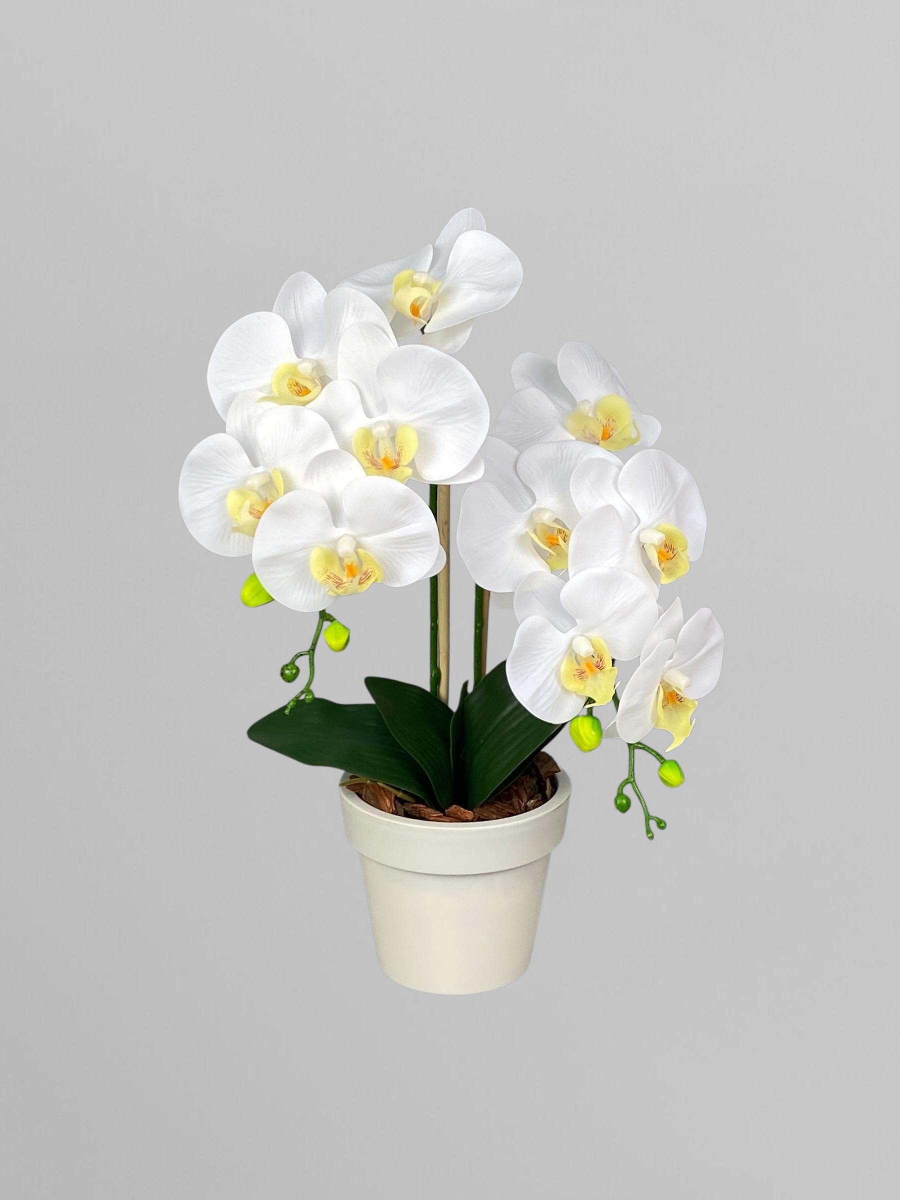 Композиция из латексных мини-орхидей на 2 веточки в белом пластиковом горшке 40 см Белый (А285)