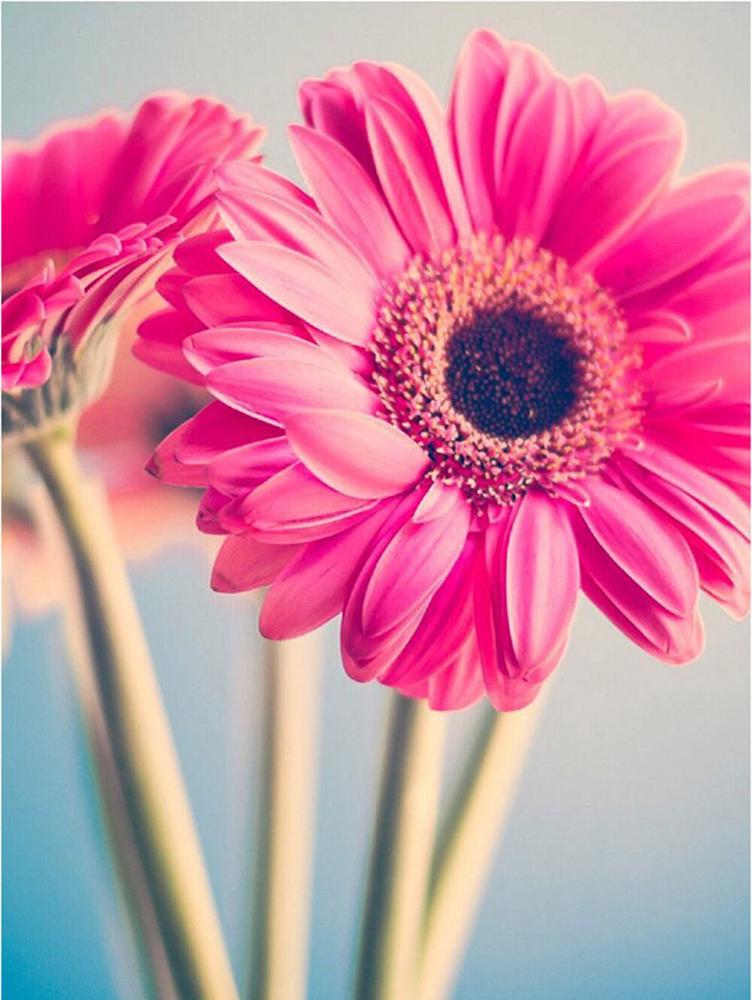 Алмазная мозаика Розовые цветы DIY-124 полная выкладка 30x40 см (26912)