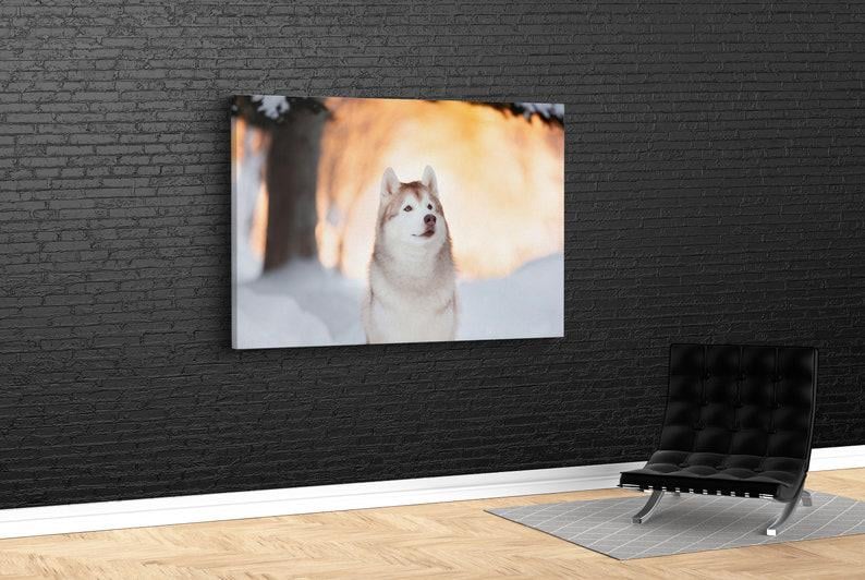 Картина для интерьера Собака и снег 51x34 см (416)