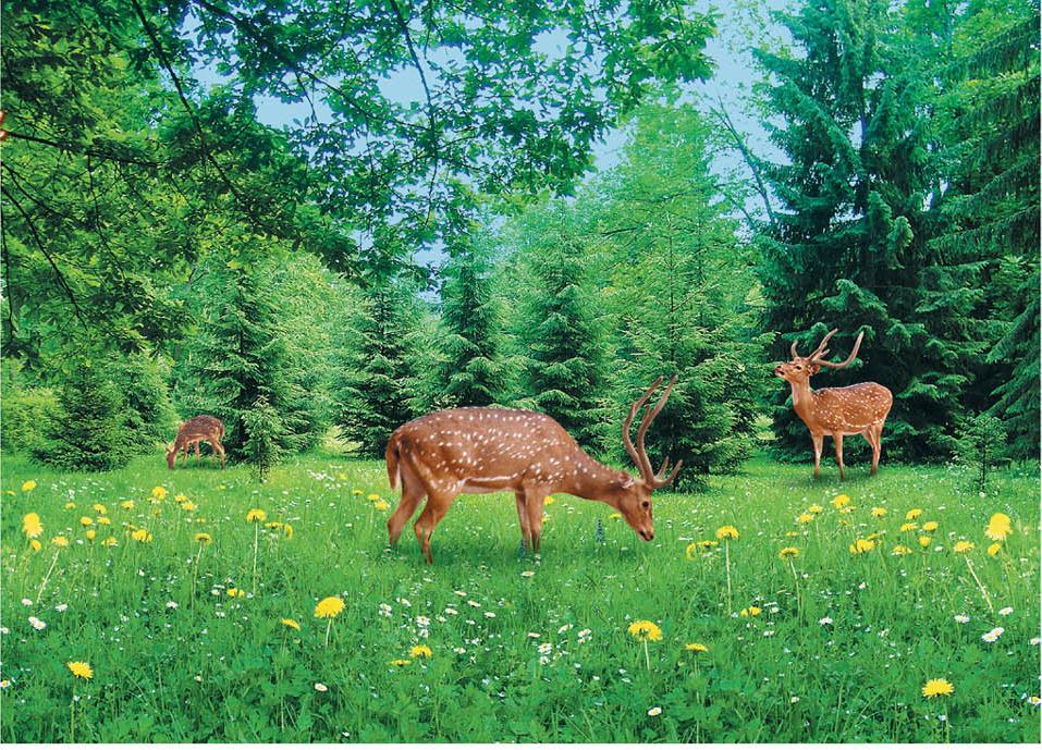 Фотообои на бумажной основе Artdecor Поляна сказок 134х194 см (2000000451442)