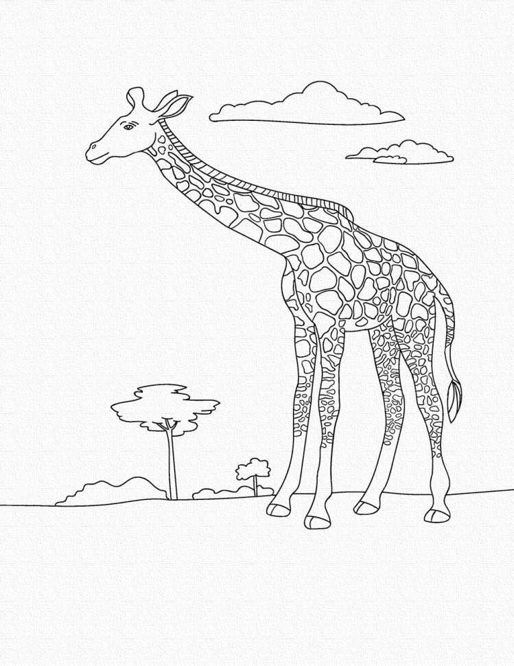 Роспись на холсте Art Craft Жираф 25х30 см (15522-AC)