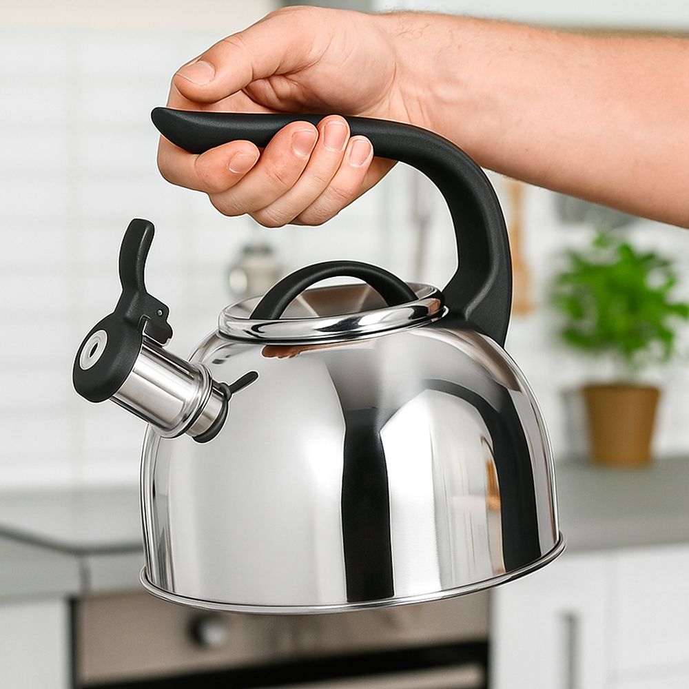 Чайник для плиты PureSteel с свистком одинарное дно нержавеющая сталь 2,5 л (03-MH-5176)