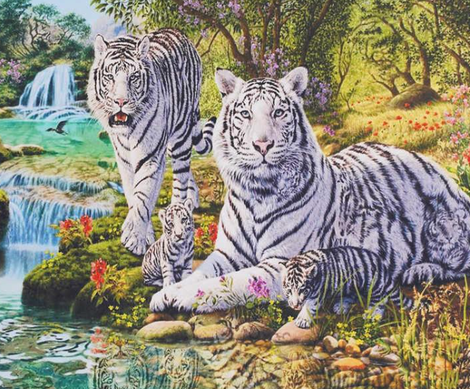 Картина за номерами TK Group 32548 30 Білі тигри 40х30 см (121685)