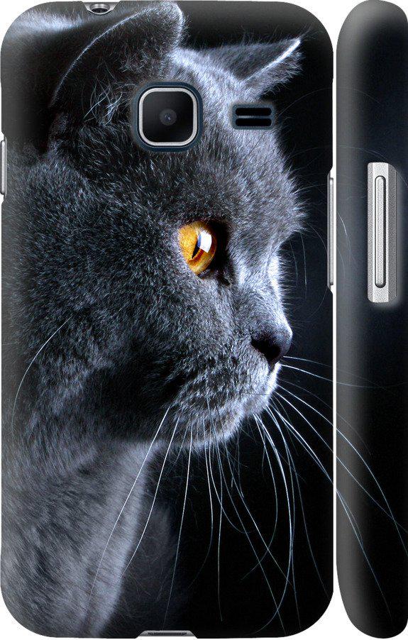 Чехол на Samsung Galaxy J1 Mini J105H Красивый кот (3038c-258-42517)