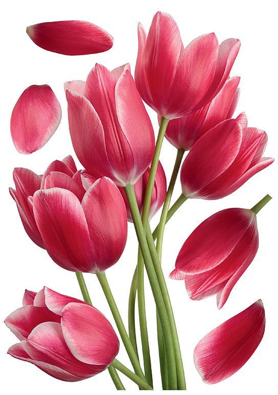 Декоративная наклейка Арт-Декор 1 Тюльпаны 50х70 см (2000000536569)