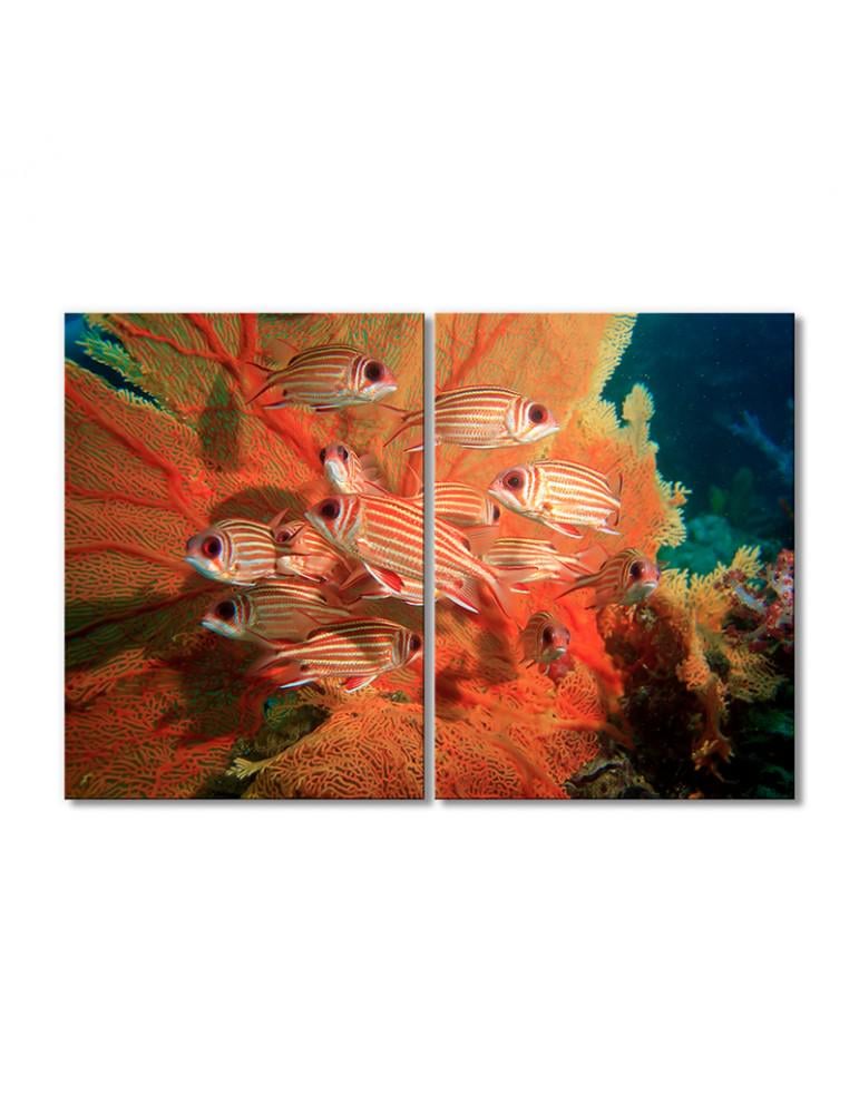 Картина модульная Полосатые рыбки у кораллов 2 модуля 80x120 см(114212Zhivotnye)