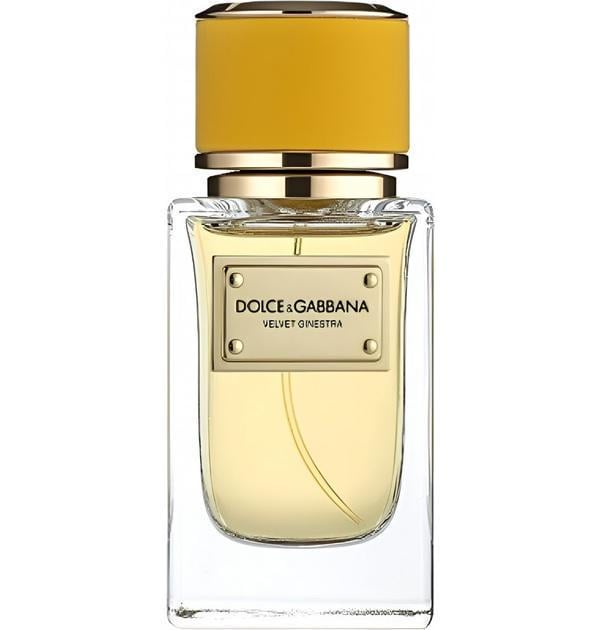 Парфумована вода для жінок Dolce&Gabbana Velvet Ginestra 50 мл тестер (380187)