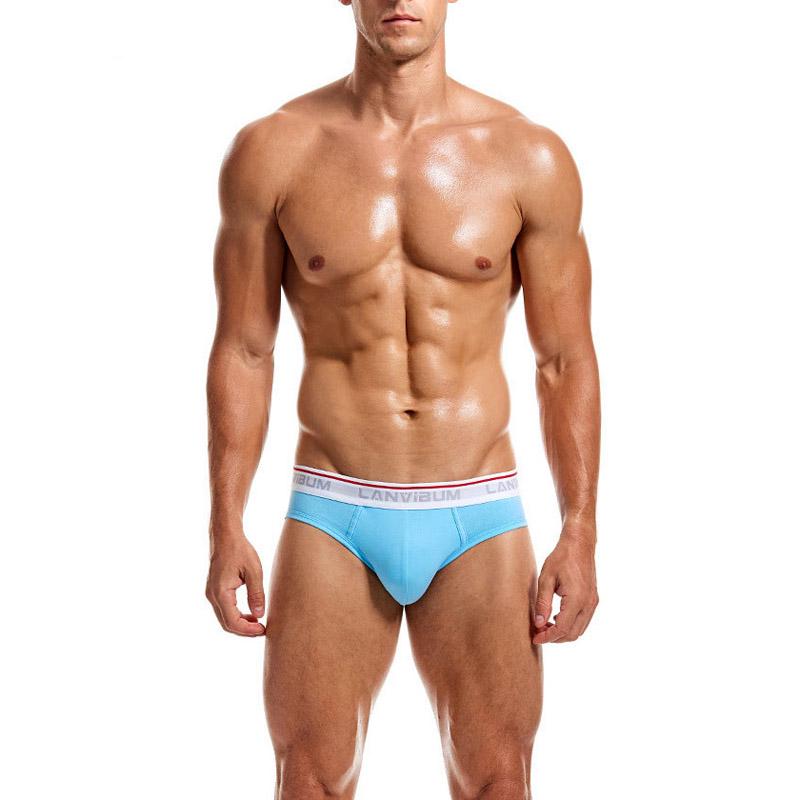 Комплект мужских трусов Lanvibum XXL 5 шт. Разноцветный (7672)