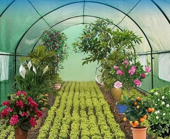 Теплиця армована плівкова Kontrast KO 04252 10 м2 з вікнами 4х2,5х2 м Зелений (1244) - фото 4